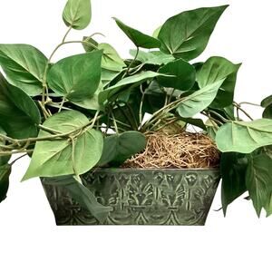 Artificial Pothos Plant in a Pot